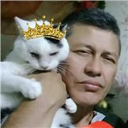 Electrónica teoría y práctica ,venta de elementos